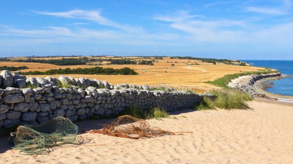 Les avantages clés du pré-fibrage dans les Côtes-d'Armor